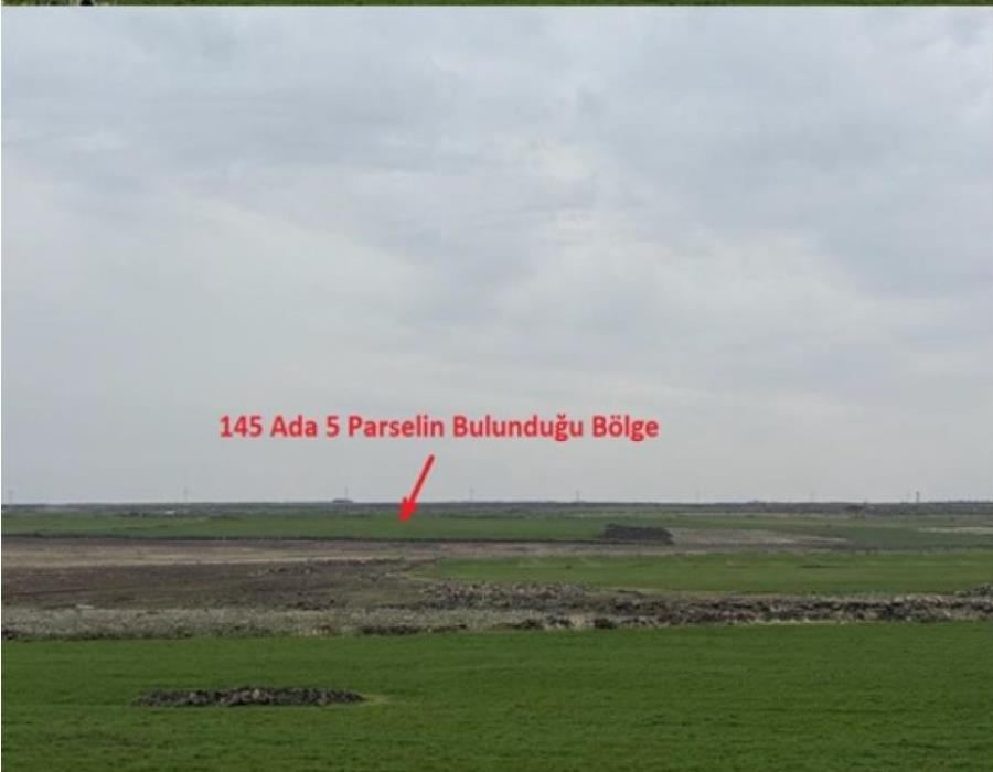 Mardin Derik Satılık Arsa - 34.768 m² - 3.500.000 TL