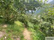 Satılık Bağ/Bahçe - Giresun Bulancak