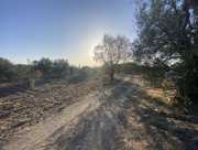Satılık Tarla - Manisa Akhisar