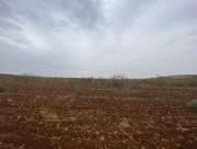 Satılık Tarla - Şanlıurfa Bozova