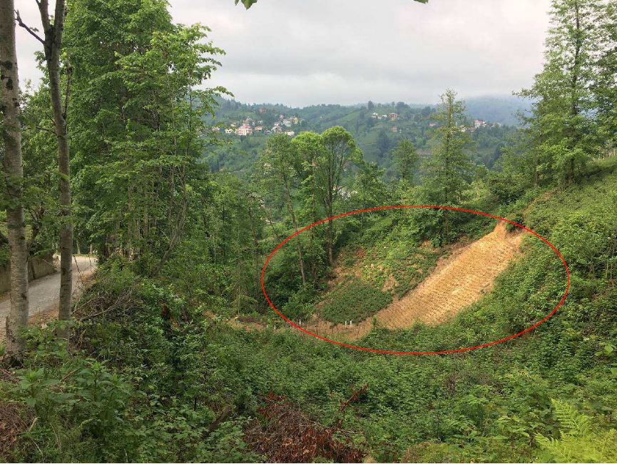 Rize Ardesen Satılık Arsa - 1.557 m² - 800.000 TL