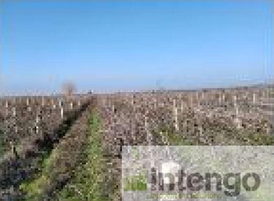 Manisa Salihli Satılık Arsa - 17.750 m² - 6.500.000 TL
