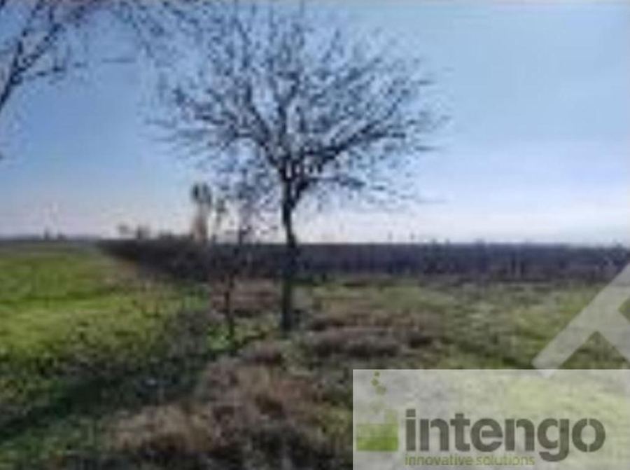 Manisa Salihli Satılık Arsa - 20.005 m² - 7.400.000 TL