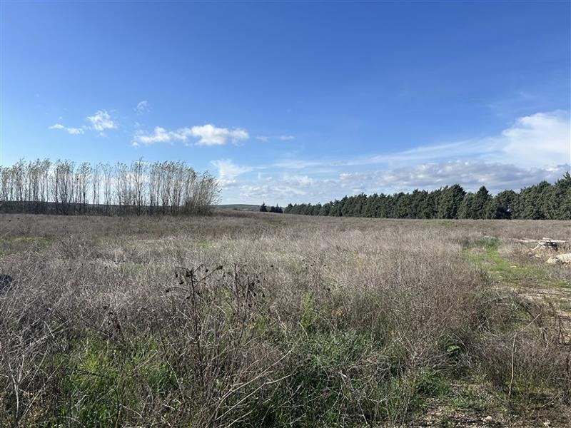 Kırklareli Lüleburgaz Satılık Arsa - 59.718 m² - 180.500.000 TL