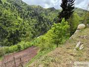 Satılık Bağ/Bahçe - Artvin Borçka