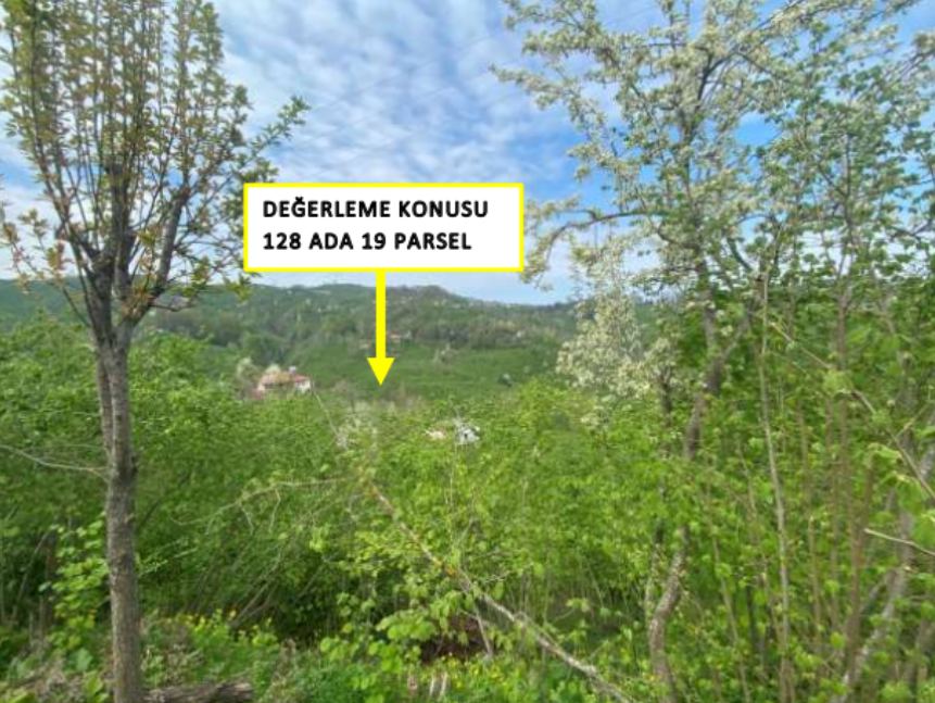 Ordu Ünye Satılık Arsa - 6.210 m² - 1.863.600 TL