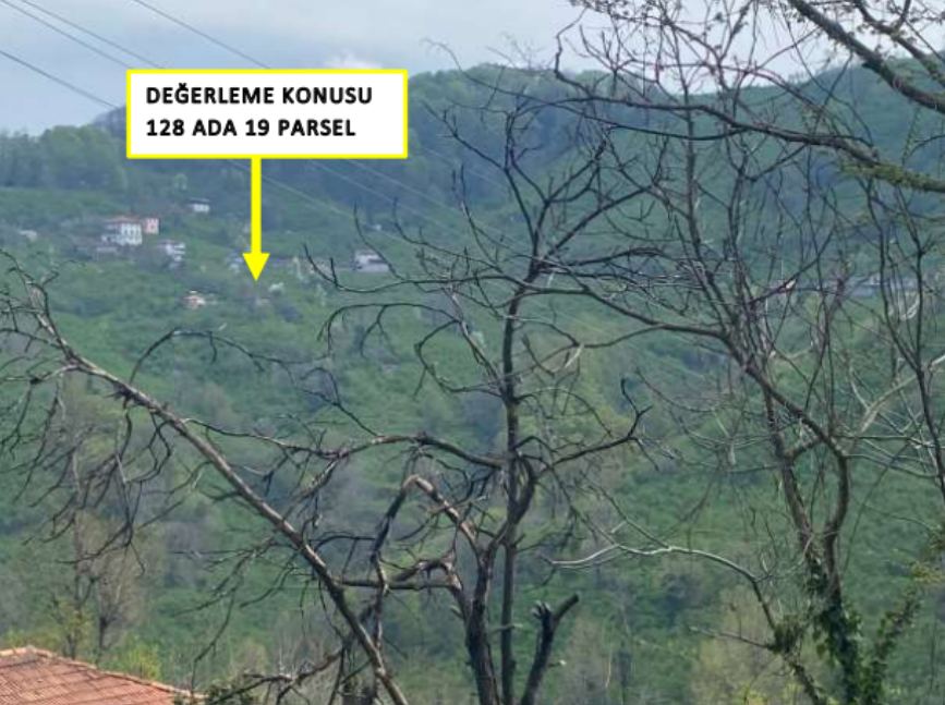 Ordu Ünye Satılık Arsa - 6.210 m² - 1.863.600 TL