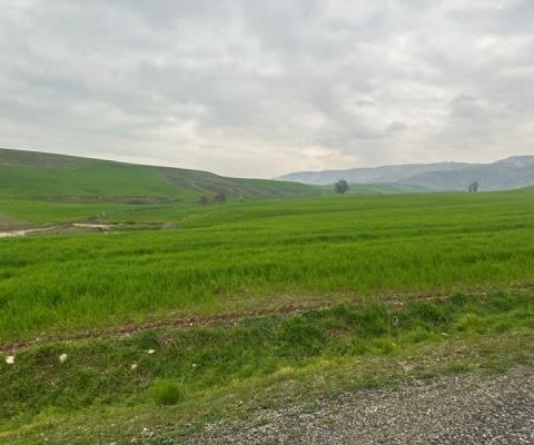 Diyarbakır Silvan Satılık Arsa - 7.513,64 m² - 770.000 TL