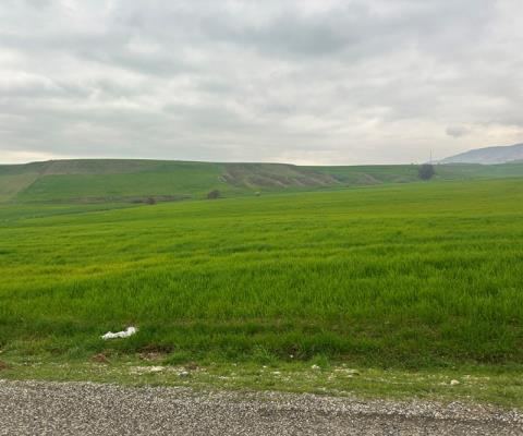 Diyarbakır Silvan Satılık Arsa - 7.513,64 m² - 770.000 TL