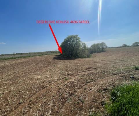 Kırklareli Lüleburgaz Satılık Arsa - 16.000 m² - 4.000.000 TL