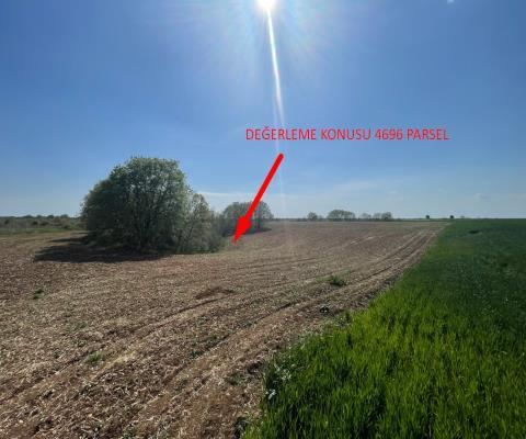 Kırklareli Lüleburgaz Satılık Arsa - 16.000 m² - 4.000.000 TL