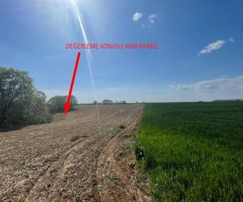 Kırklareli Lüleburgaz Satılık Arsa - 16.000 m² - 4.000.000 TL