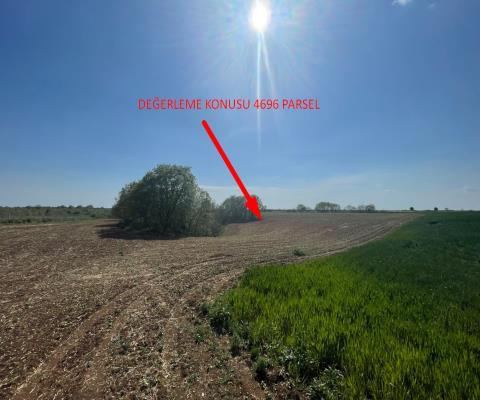 Kırklareli Lüleburgaz Satılık Arsa - 16.000 m² - 4.000.000 TL