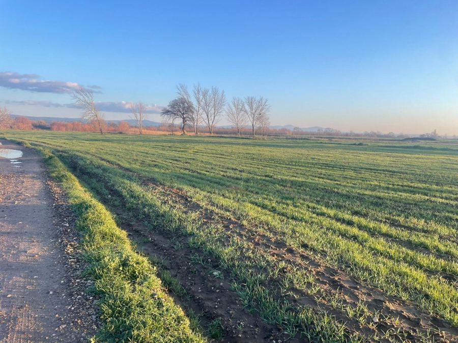 Çanakkale Bayramiç Satılık Arsa - 4.728 m² - 1.500.000 TL