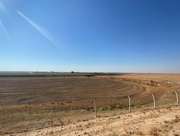 Satılık Tarla - Şanlıurfa Harran