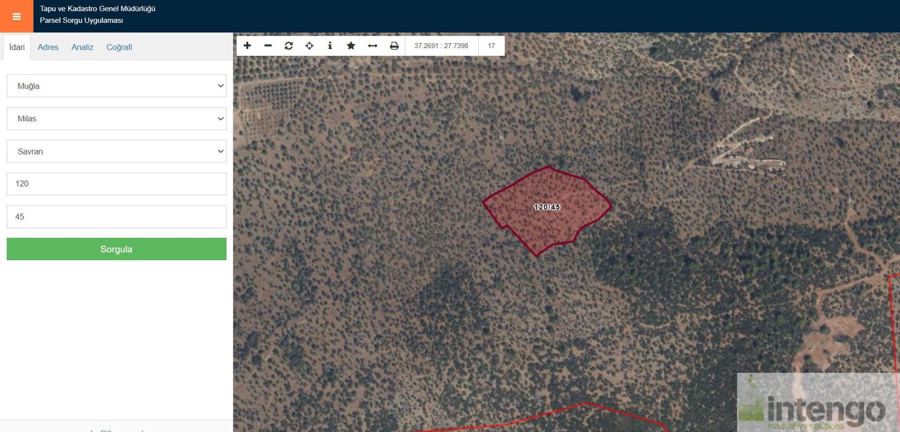 Muğla Milas Satılık Zeytinlik - 6.569 m² - 3.000.000 TL