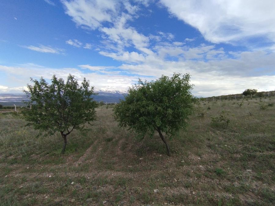 Kayseri İncesu Satılık Arsa - 5.124,98 m² - 2.995.000 TL