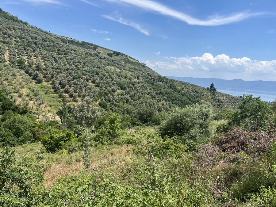 Bursa Orhangazi Satılık Arsa - 5.764,44 m² - 3.135.000 TL
