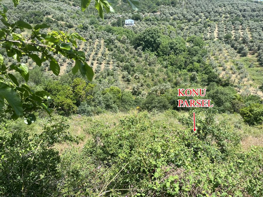 Bursa Orhangazi Satılık Arsa - 5.764,44 m² - 3.135.000 TL